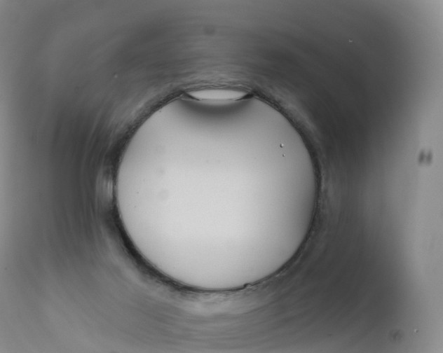 X0000111820021200908131533