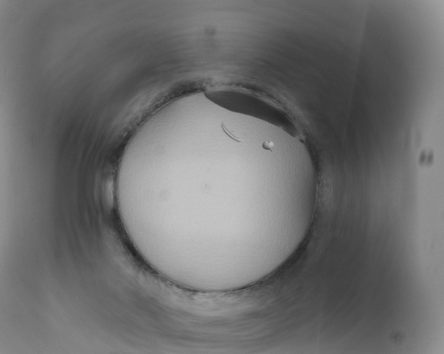 X0000111820022200908131533