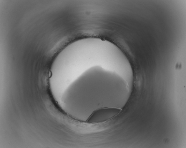 X0000111820023200908131533