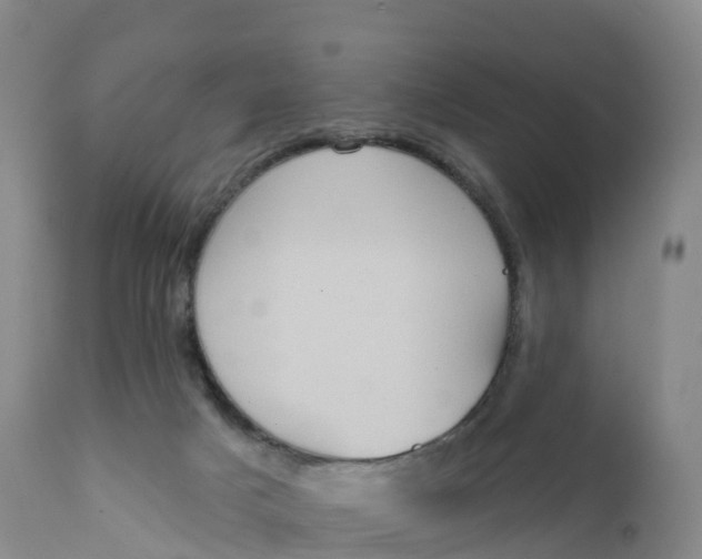 X0000111820025200908131533