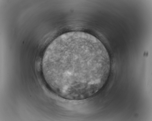 X0000111820026200908131533