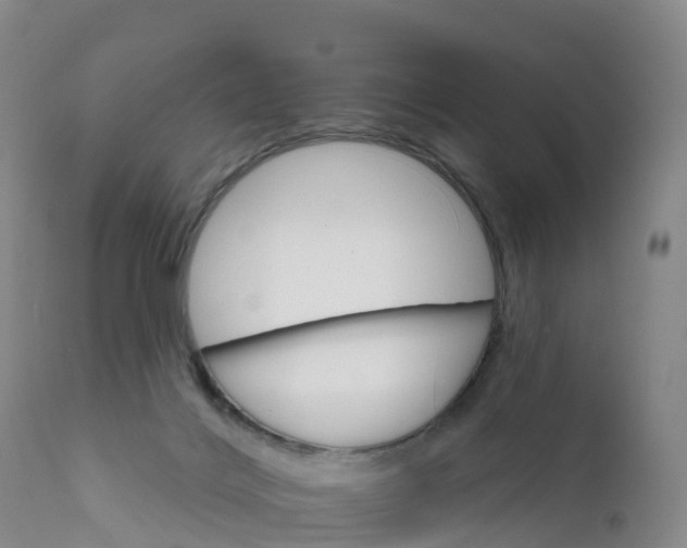 X0000111820028200908131533