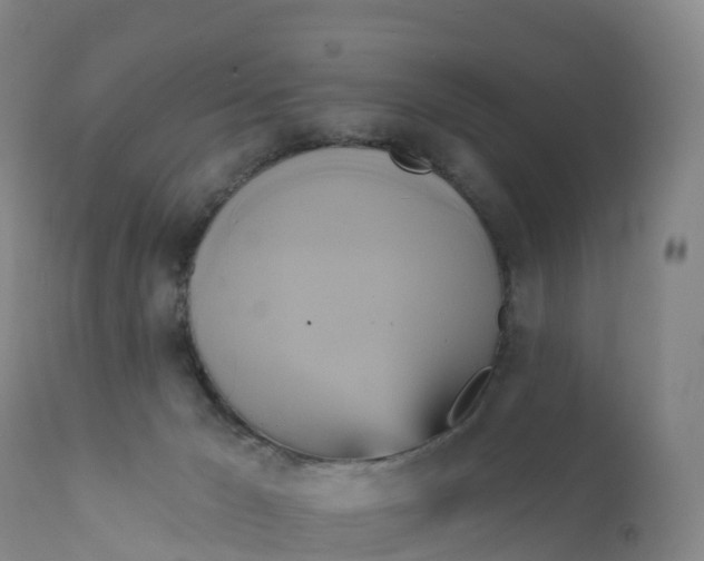 X0000111820029200908131533