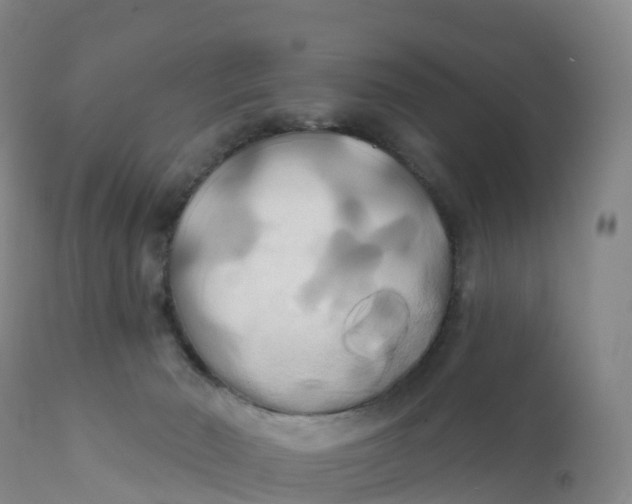 X0000111820030200908131533