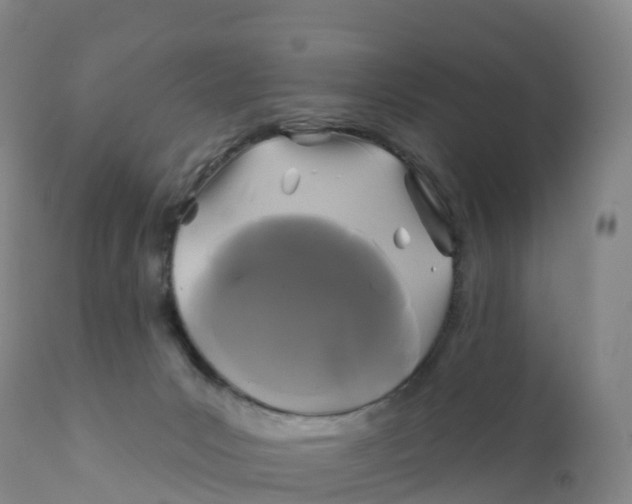 X0000111820031200908131533