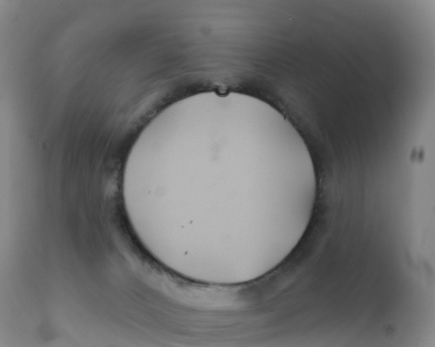 X0000111820032200908131533