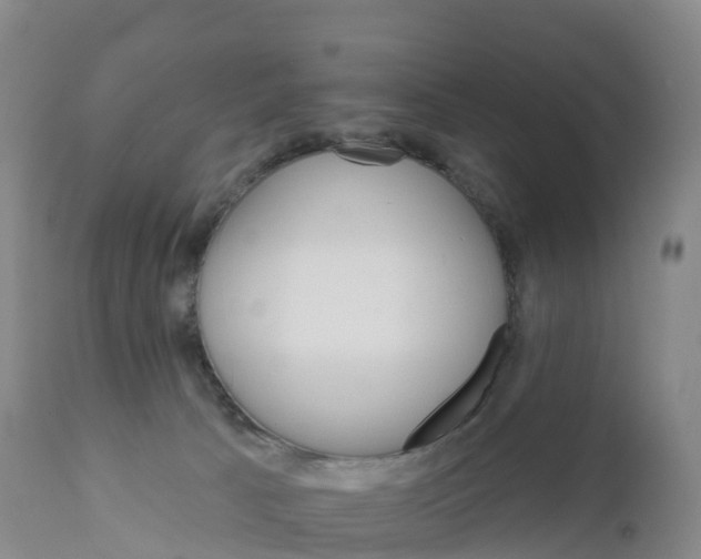 X0000111820033200908131533