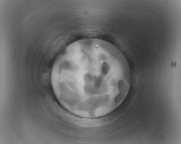 X0000111820034200908131533