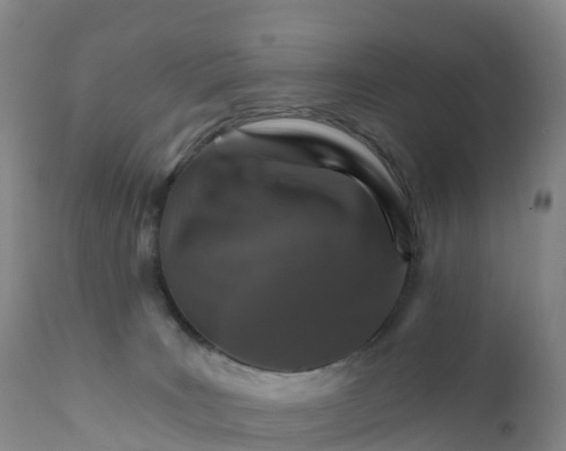 X0000111820035200908131533