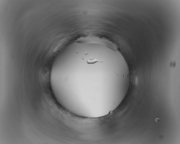 X0000111820036200908131533