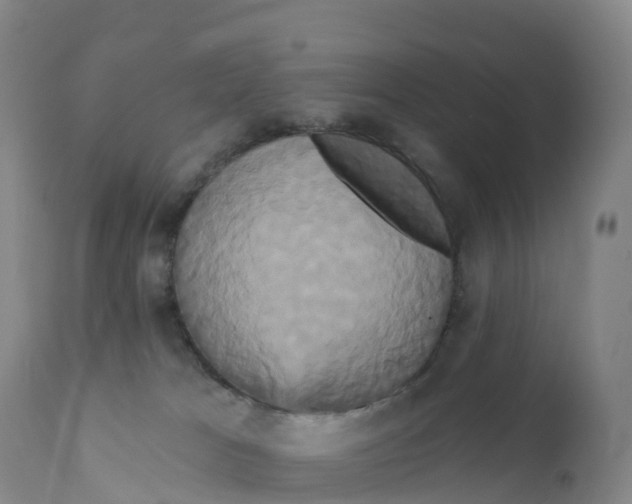 X0000111820037200908131533