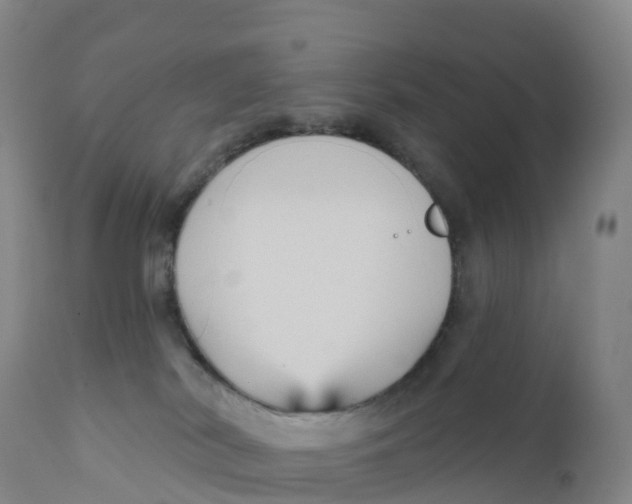 X0000111820038200908131533