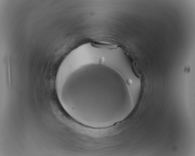 X0000111820039200908131533