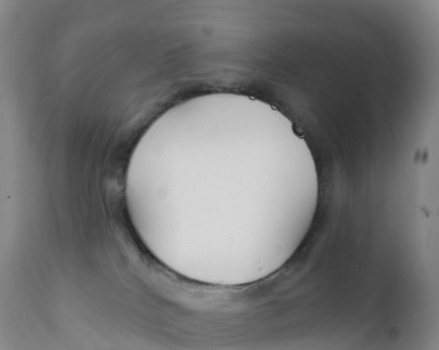 X0000111820040200908131533