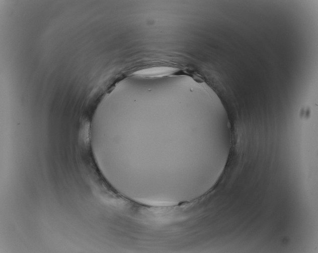 X0000111820041200908131533