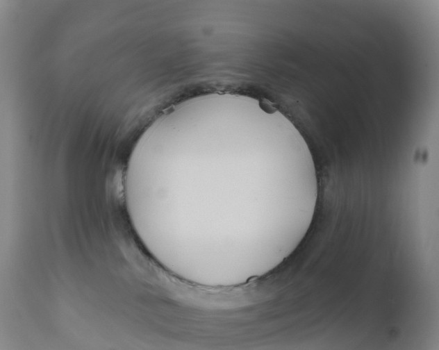 X0000111820042200908131533