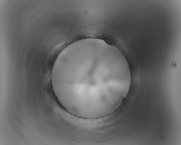 X0000111820043200908131533