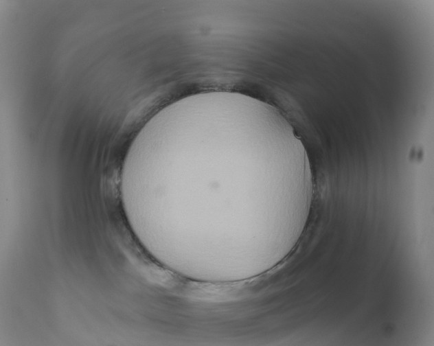 X0000111820045200908131533