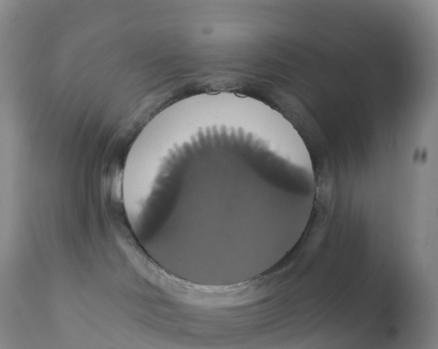 X0000111820046200908131533