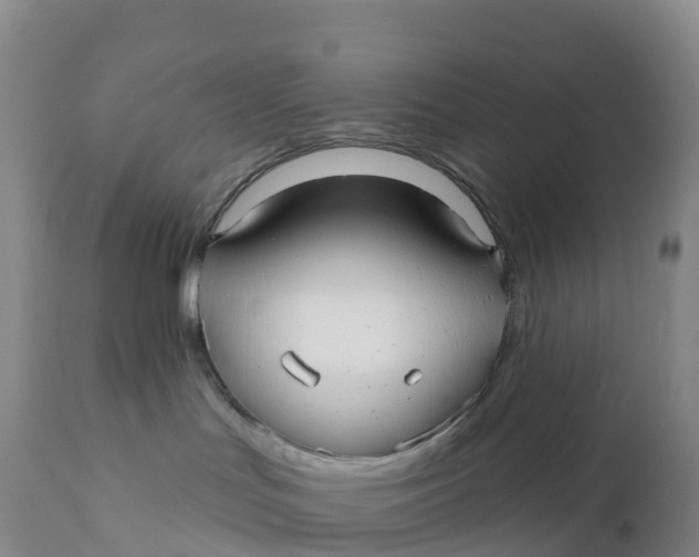 X0000111820047200908131533