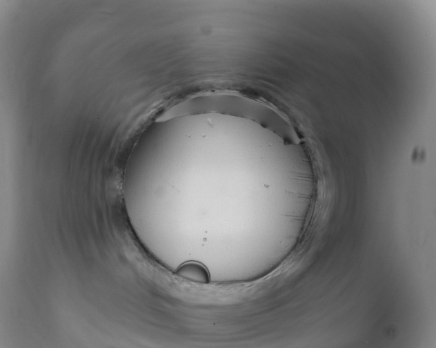 X0000111820048200908131533