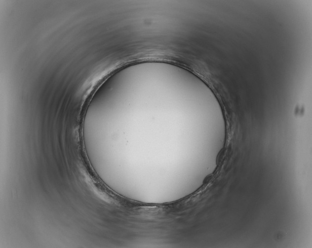 X0000111820050200908131532