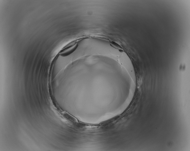 X0000111820052200908131532