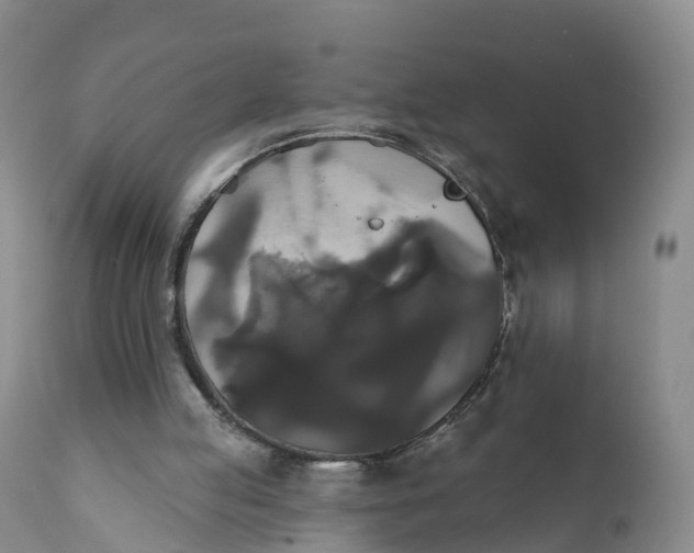 X0000111820053200908131532