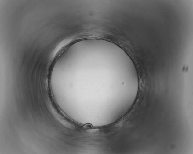 X0000111820054200908131532