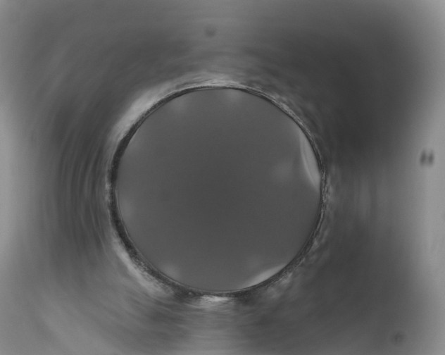 X0000111820055200908131532