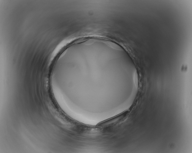 X0000111820056200908131532