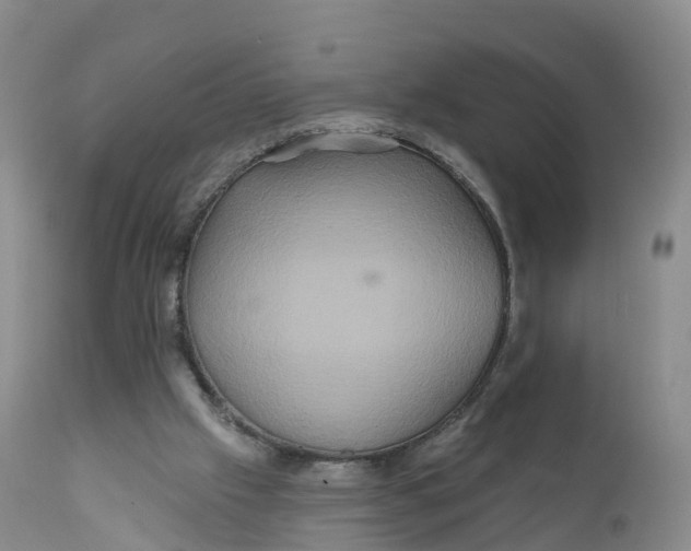 X0000111820057200908131532