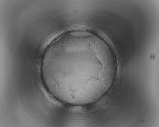 X0000111820058200908131532