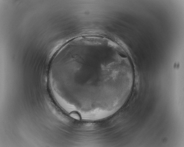 X0000111820059200908131532