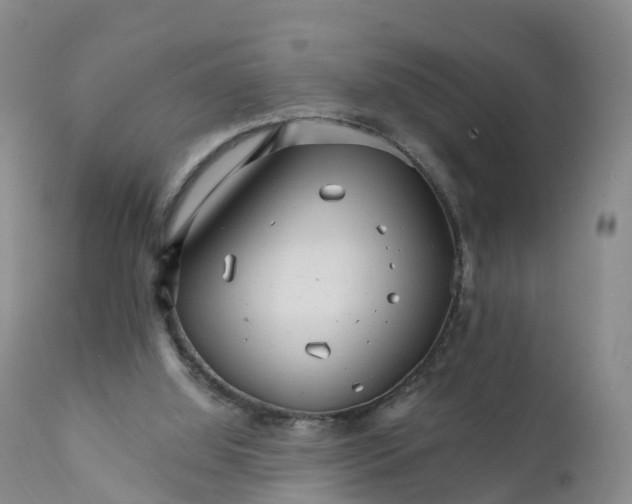 X0000111820060200908131532