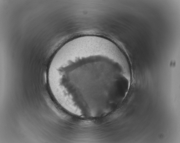 X0000111820061200908131532