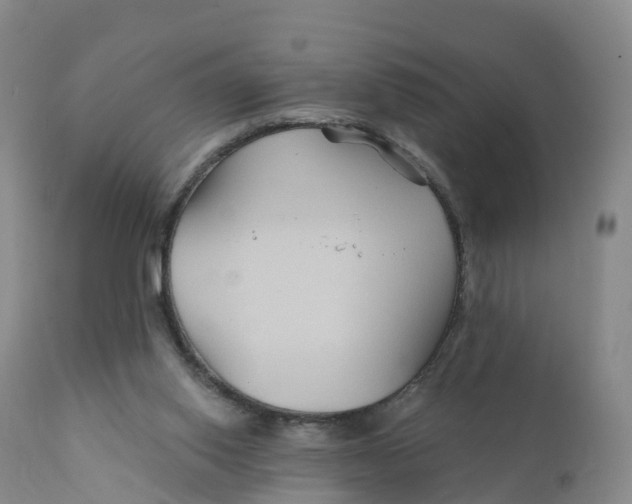 X0000111820062200908131532