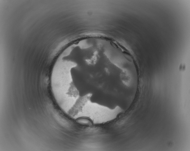 X0000111820063200908131532