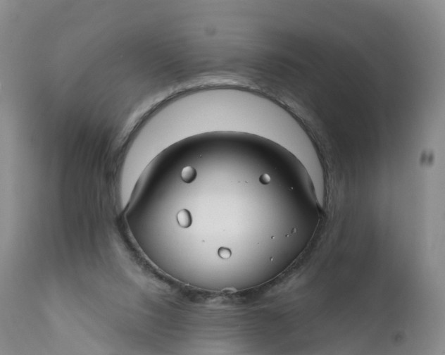 X0000111820064200908131532