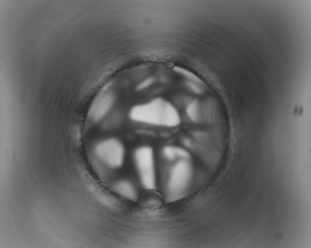 X0000111820065200908131532