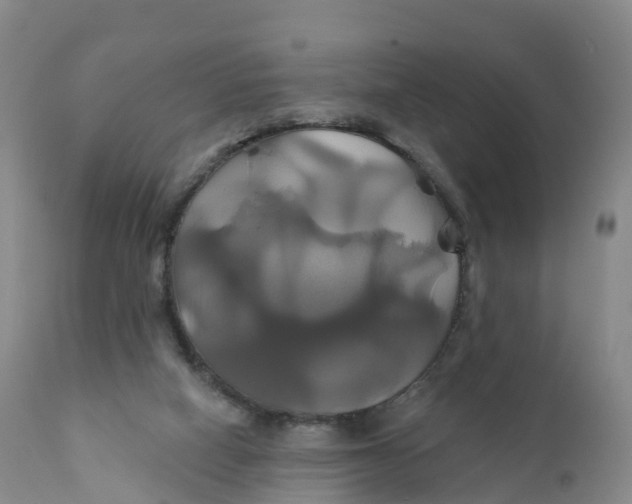 X0000111820066200908131532