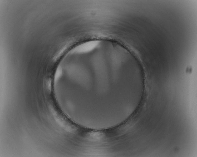 X0000111820067200908131532