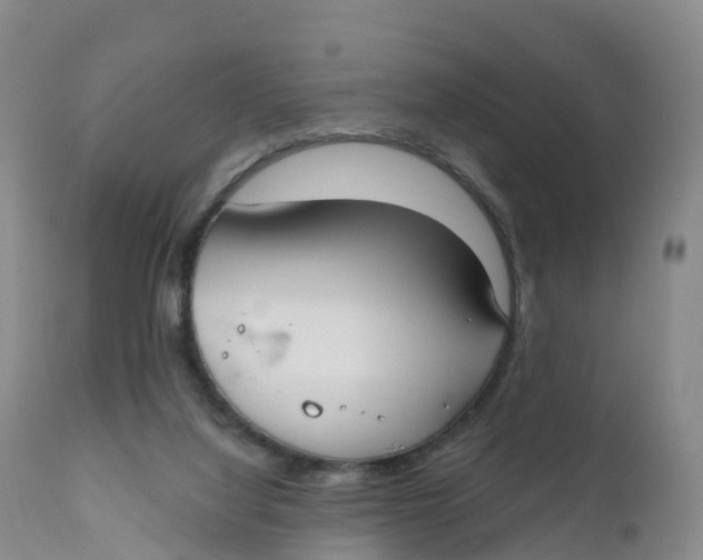 X0000111820068200908131532