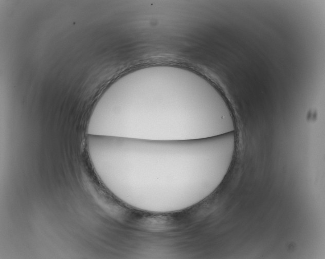 X0000111820069200908131532