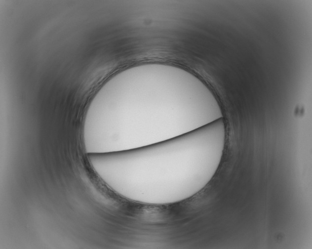 X0000111820070200908131532