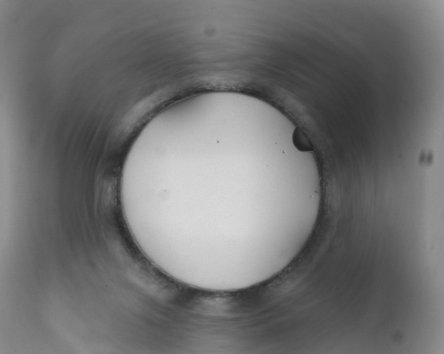 X0000111820071200908131532