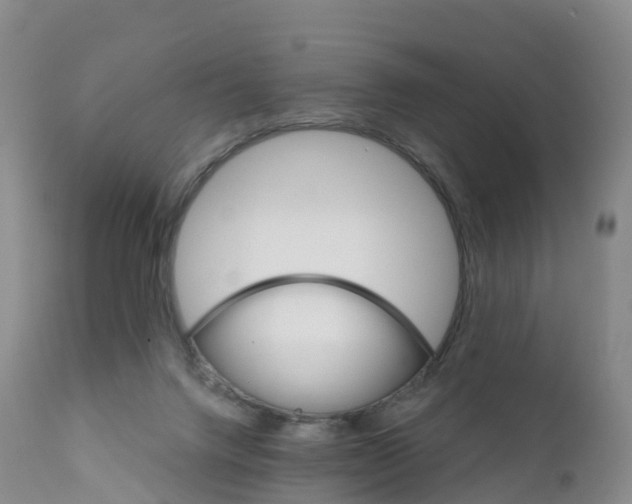 X0000111820072200908131532