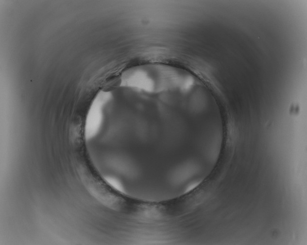 X0000111820073200908131532