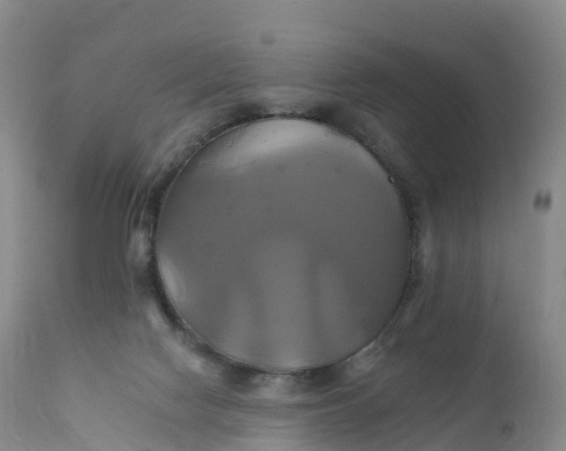 X0000111820074200908131532