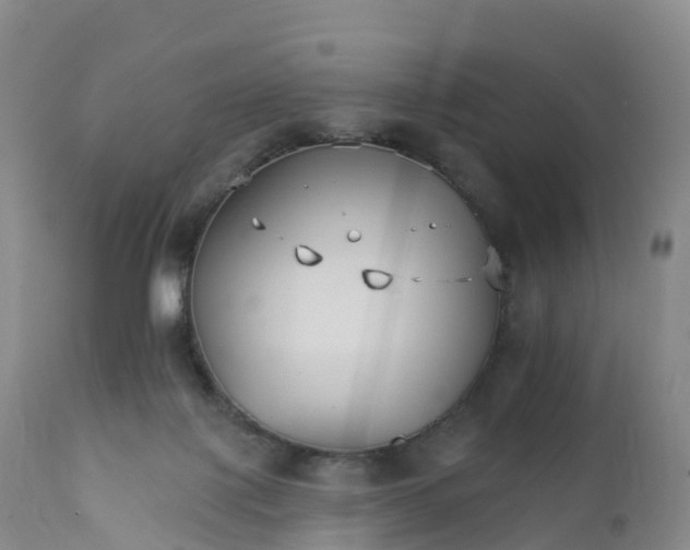 X0000111820075200908131533